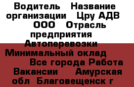 Водитель › Название организации ­ Цру АДВ777, ООО › Отрасль предприятия ­ Автоперевозки › Минимальный оклад ­ 110 000 - Все города Работа » Вакансии   . Амурская обл.,Благовещенск г.